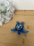 Tortue