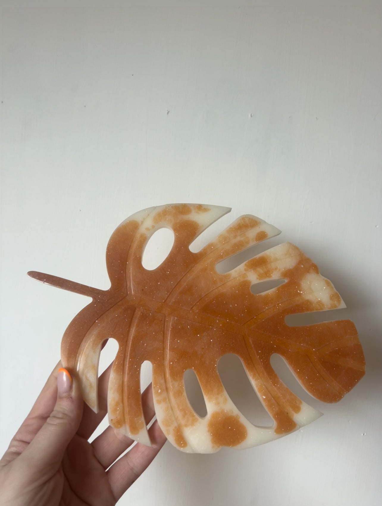 Plateau feuille